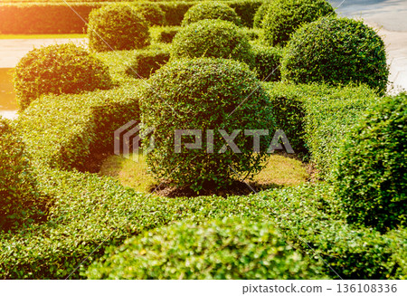 Luxury landscape design of the tropical garden.  136108336