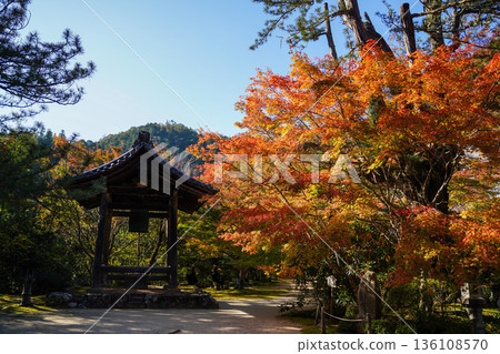 京都真木西名寺院內的紅楓葉 京都真木西名寺院內的紅楓葉 136108570