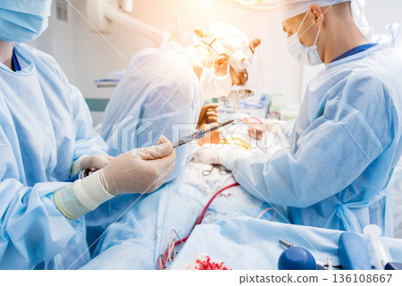 Spinal surgery. Surgeon show polyaxial screw in operating room Spinal surgery. Surgeon show polyaxial screw in operating room 136108667
