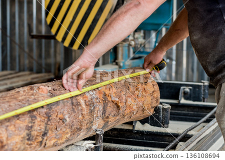 Modern sawmill. Industry sawing boards from logs 136108694