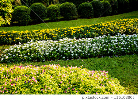 Luxury landscape design of the tropical garden.  136108805