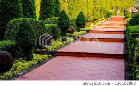 Luxury landscape design of the tropical garden.  136108808