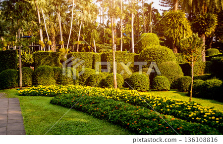 Luxury landscape design of the tropical garden. Luxury landscape design of the tropical garden. 136108816