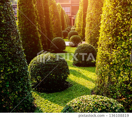 Luxury landscape design of the tropical garden. Luxury landscape design of the tropical garden. 136108819