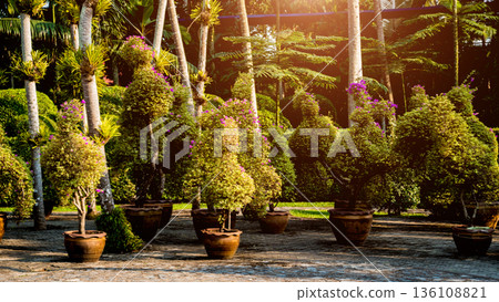 Luxury landscape design of the tropical garden.  136108821