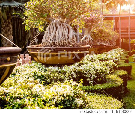 Luxury landscape design of the tropical garden. Luxury landscape design of the tropical garden. 136108822