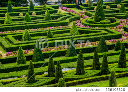 Luxury landscape design of the tropical garden.  136108828