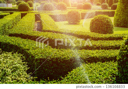 Luxury landscape design of the tropical garden.  136108833