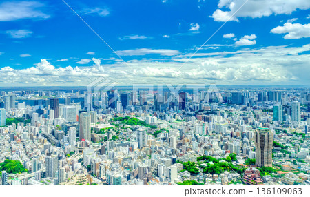 東京城市景觀與灣區 東京城市景觀與灣區 136109063