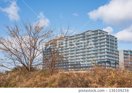 從淀川河床眺望大阪府高槻市的公寓大樓 從淀川河床眺望大阪府高槻市的公寓大樓 136109256