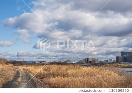 高槻市淀川右岸河床上的枯草 136109260