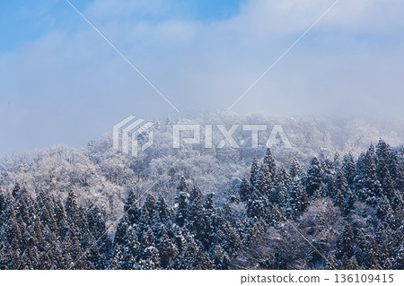 冬日山景和一列火車 136109415