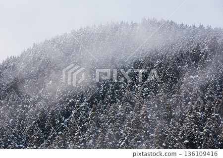 冬日山景和一列火車 136109416