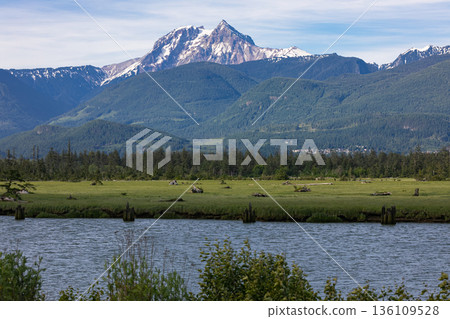 Beautiful view of the Canadian Mountain Landscape on the West Pacific Coast. Squamish, BC, Canada. Beautiful view of the Canadian Mountain Landscape on the West Pacific Coast. Squamish, BC, Canada. 136109528