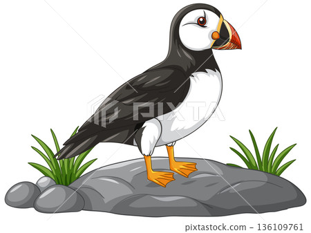 Atlantic Puffin Standing on a Rock with Green Grass Vector Illustration 136109761