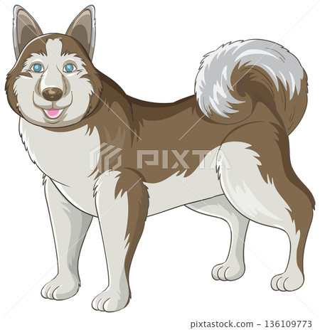 Siberian Husky Dog Vector Illustration Standing on White Background 136109773