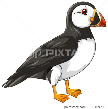 Atlantic Puffin Bird Vector Illustration Isolated on White Background Atlantic Puffin Bird Vector Illustration Isolated on White Background 136109790