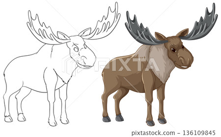 Bull Moose Vector Illustration in Colored and Line Art Styles Bull Moose Vector Illustration in Colored and Line Art Styles 136109845