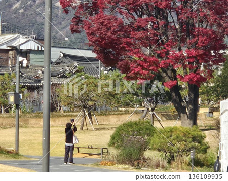 seoul autumn square 136109935