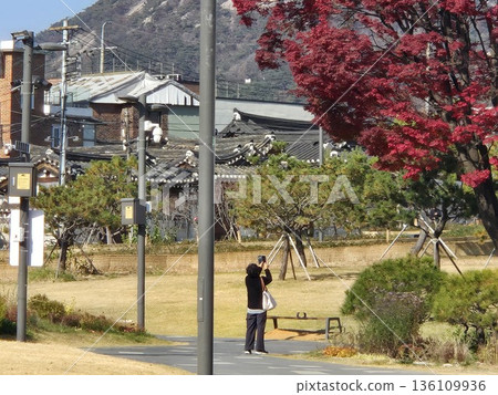 seoul autumn square 136109936