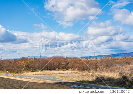 大阪府枚方市淀川河床的冬季景色 大阪府枚方市淀川河床的冬季景色 136110042