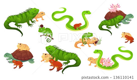 Exotic animal set: turtle, iguana, frog, axolotl, lizard, toad, chameleon, snake, snail. 136110141