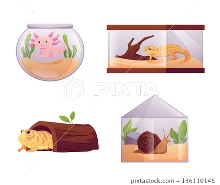 Exotic pet reptile animals in the terrarium, cartoon guana on branch, amphibian axolotl, snail isolated flat vector set 136110148