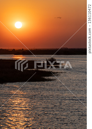 Sunset over the chobe river Sunset over the chobe river 136110472