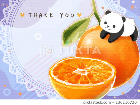 Cute orange and panda illustration postcard Cute orange and panda illustration postcard 136110720