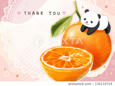 可愛的橘子和熊貓插畫明信片 136110724