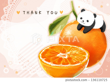 可愛的橘子和熊貓插畫明信片 136110725