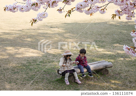男孩和女孩坐在長椅上 136111074