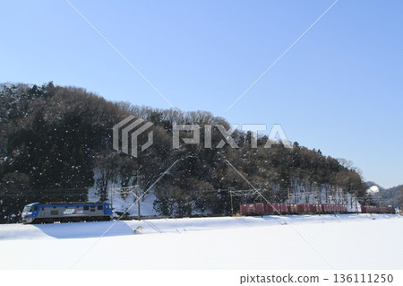 Go snowy fields 136111250