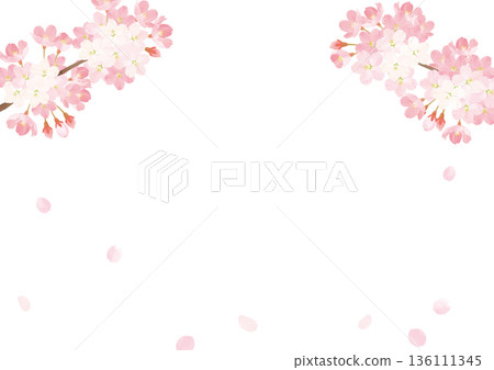 水彩櫻花矢量圖 水彩櫻花矢量圖 136111345