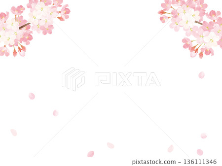 Cherry blossom watercolor background illustration Cherry blossom watercolor background illustration 136111346