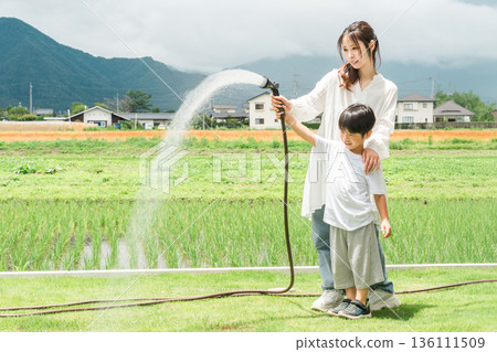 男孩和家人在花園裡澆草坪，家庭（房子、花園、室外） 136111509
