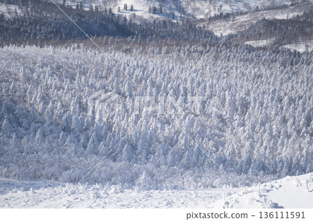 A magnificent winter mountain landscape covered in frost and snow seen from Mt. Mokoto 136111591