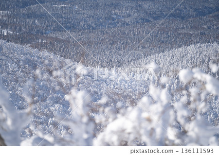 從莫科託山眺望，壯麗的冬季山景被霜雪覆蓋。 136111593