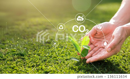 Hand holding with tree for co2, ESG and net zero. energy saving concept. save our planet, world environment day, world earth day. sustainable development and green business. Hand holding with tree for co2, ESG and net zero. energy saving concept. save our planet, world environment day, world earth day. sustainable development and green business. 136111634