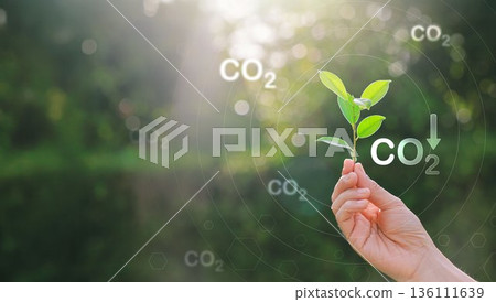CO2 or carbon concept with icons on green background. co2 emission using clean energy and limit global warming. renewable energy, planting tree. world earth day. 136111639
