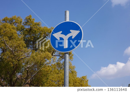 Road signs prohibiting travel in any other direction (left or right) 136111648