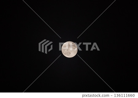 錯過了一個月 136111660