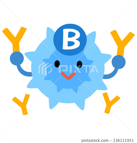 B cell character B cell character 136111951