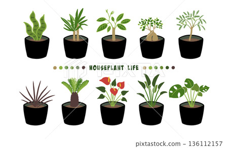 Transparent material for houseplants Transparent material for houseplants 136112157