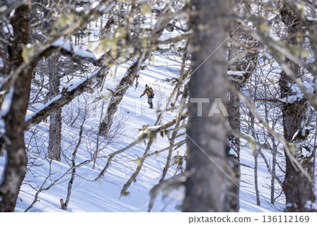 Backcountry snowboarding through the snowy forests of eastern Hokkaido. A dynamic winter mountain activity. 136112169