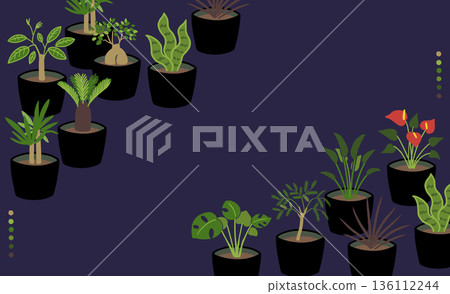 室內植物壁紙。以 iMac 待機畫面比例製作。 136112244