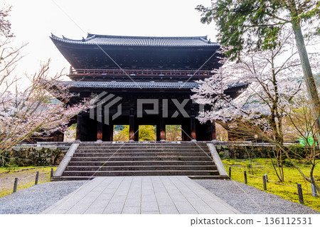 京都府南禪寺櫻花盛開的景色 136112531