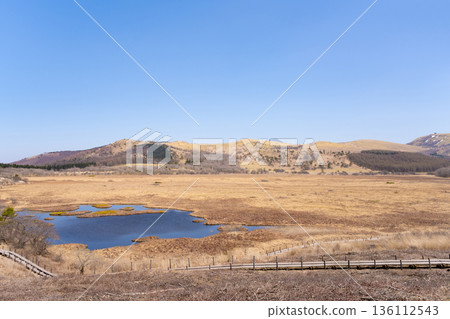 Yashimagahara Marsh, Shimo-Suwa Town, Suwa District, Nagano Prefecture 136112543