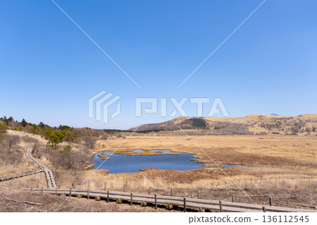 Yashimagahara Marsh, Shimo-Suwa Town, Suwa District, Nagano Prefecture 136112545