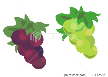 Simple illustration of two types of grapes Simple illustration of two types of grapes 136112594